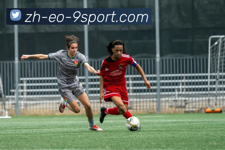 九游娱乐官网平台生态图